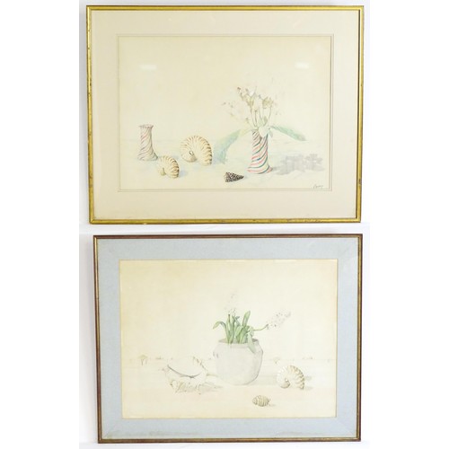 1841 - Patrick Hockey (1948-1992), Watercolours, A pair of large Australian watercolours with shells and fl... 