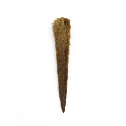 1287 - Taxidermy: an early 20thC mounted Otter's rudder, with brass hanging loop, approx 19