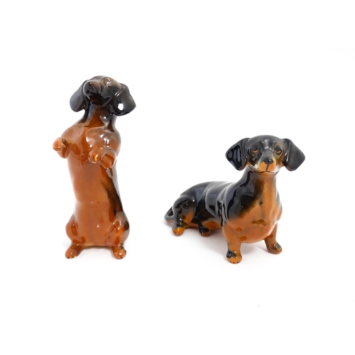 136 - Two Beswick models of Dachshund dogs model no. 1460 & 1461. Largest approx. 4