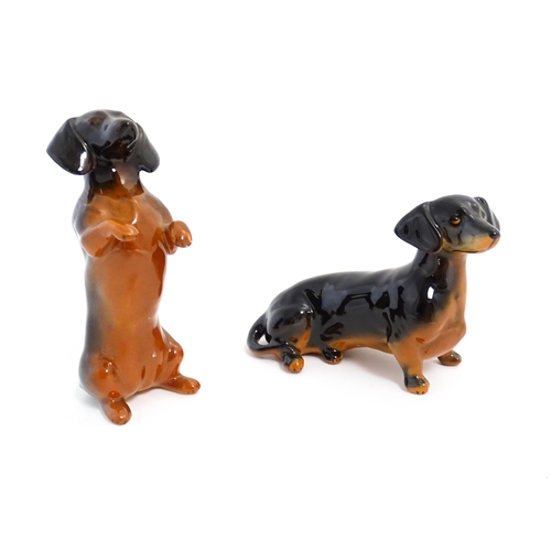 136 - Two Beswick models of Dachshund dogs model no. 1460 & 1461. Largest approx. 4