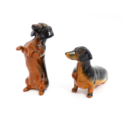 136 - Two Beswick models of Dachshund dogs model no. 1460 & 1461. Largest approx. 4