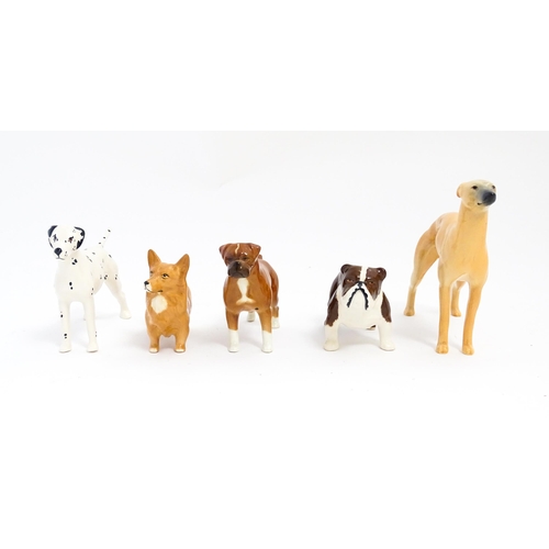 137 - Five Beswick models of dogs comprising Corgi no. 1736, Whippet no. 1786B, Dalmatian no. 961, Bulldog... 