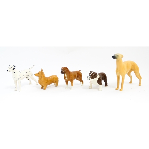 137 - Five Beswick models of dogs comprising Corgi no. 1736, Whippet no. 1786B, Dalmatian no. 961, Bulldog... 