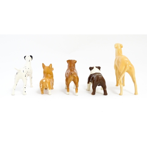 137 - Five Beswick models of dogs comprising Corgi no. 1736, Whippet no. 1786B, Dalmatian no. 961, Bulldog... 