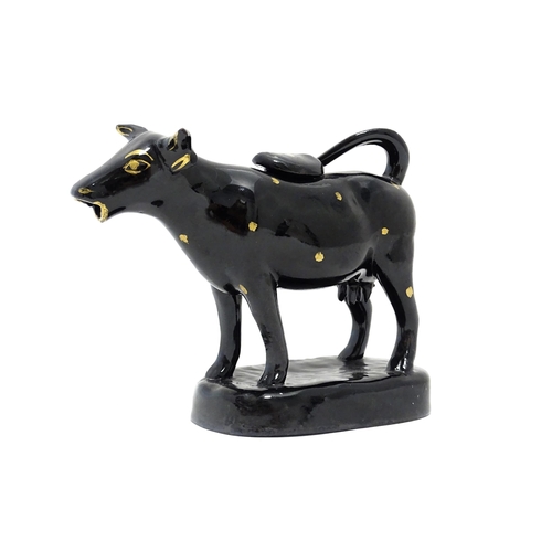 71 - A Staffordshire style black cow creamer with gilt spot detail. Approx. 5 1/4