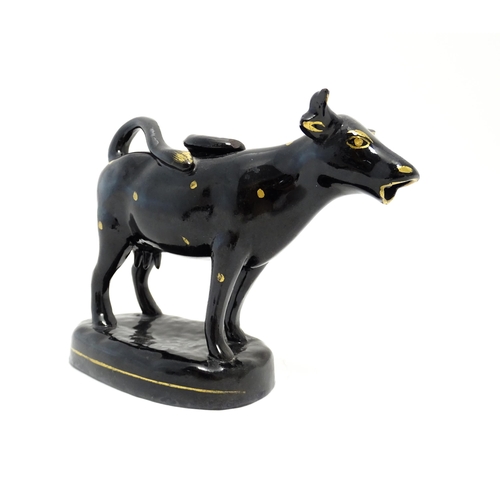 71 - A Staffordshire style black cow creamer with gilt spot detail. Approx. 5 1/4