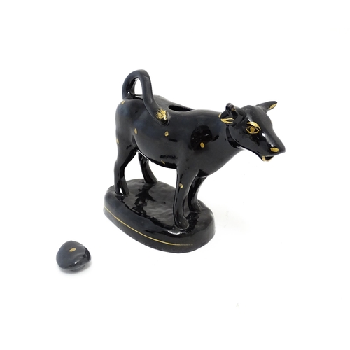 71 - A Staffordshire style black cow creamer with gilt spot detail. Approx. 5 1/4