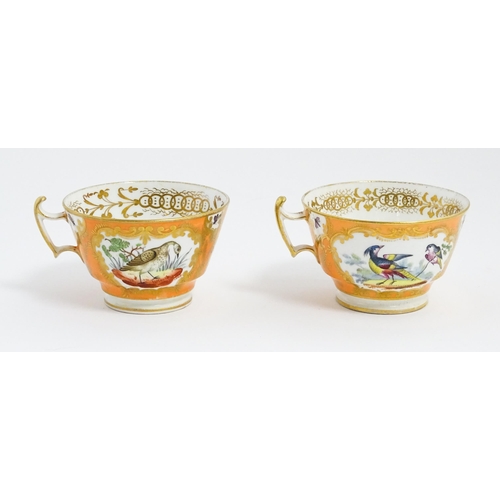 188 - Two 19thC English tea cups and saucers the orange ground decorated with hand painted exotic birds an... 