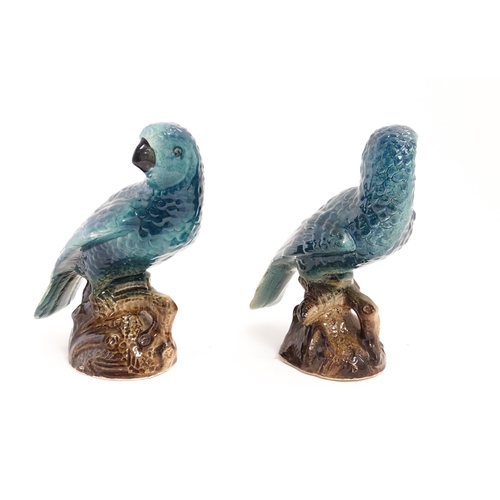 216 - A pair of ceramic models of parrots perched on a branch. Approx. 7 3/4