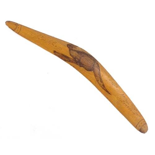 1104 - An Australian Aboriginal mangrove timber souvenir boomerang titled Greetings from Australia with kan... 