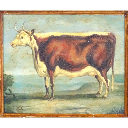 1676 - J. Box, 20th century, Oil on canvas laid on board, A portrait of a prize cow in a landscape. Signed ... 