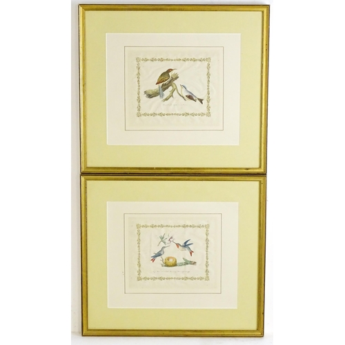 1874 - After Alexander Wilson and Charles Lucian Bonaparte, 19th century, Two ornithological prints with ha... 