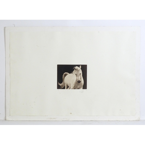 1878 - Susan George (b. 1954), Limited edition print, The White Horse. Signed and numbered 1/50 in pencil u... 