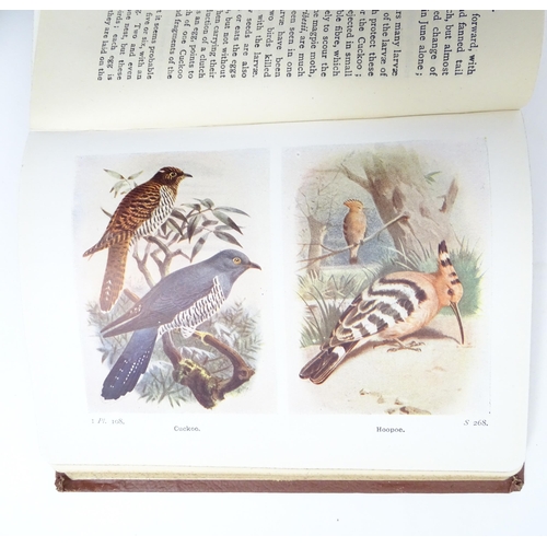 1014 - Books: Nine assorted natural history books to include The Birds of the British Isles and their Eggs,... 