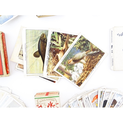 1944 - A quantity of cigarette cards in albums and loose, series to include Players: Birds & Their Young, A... 