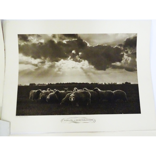 1953 - A quantity 20thC lithographs after photographer Rudolf Balogh (1879-1944) to include a portrait of F... 