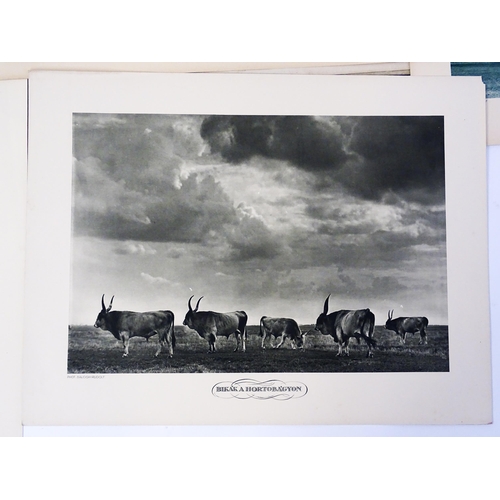 1953 - A quantity 20thC lithographs after photographer Rudolf Balogh (1879-1944) to include a portrait of F... 