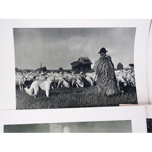 1953 - A quantity 20thC lithographs after photographer Rudolf Balogh (1879-1944) to include a portrait of F... 