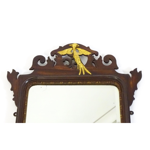 1533 - A late 19thC / early 20thC mahogany mirror, with a pierced frame and gilt painted shell and hoho bir... 