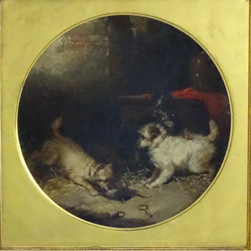 1646 - George Armfield (1808-1893), Oil on canvas, A pair, Terriers Ratting. One signed and dated 1880 lowe... 