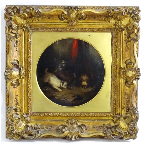 1646 - George Armfield (1808-1893), Oil on canvas, A pair, Terriers Ratting. One signed and dated 1880 lowe... 