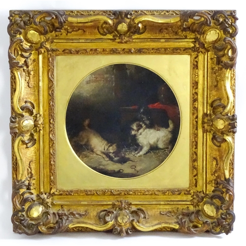 1646 - George Armfield (1808-1893), Oil on canvas, A pair, Terriers Ratting. One signed and dated 1880 lowe... 