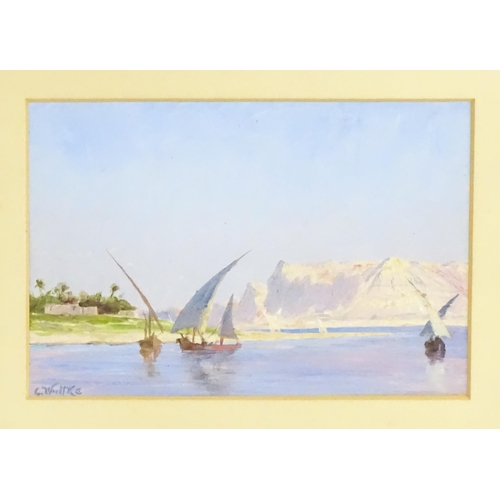 1689 - 19th / 20th century, Continental School, Oil on board, An Impressionistic view along the Nile River ... 