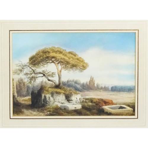 1781 - Dita Erretti, 19th century, Italian School, A wooded landscape scene. Signed and dated '77 lower rig... 