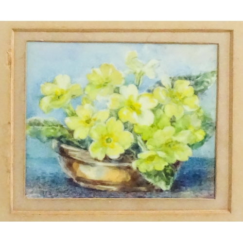 1811 - Early 20th century, Bodycolour on celluloid, A small study of primroses. Approx. 3