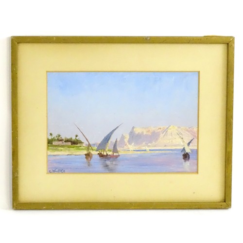 1689 - 19th / 20th century, Continental School, Oil on board, An Impressionistic view along the Nile River ... 