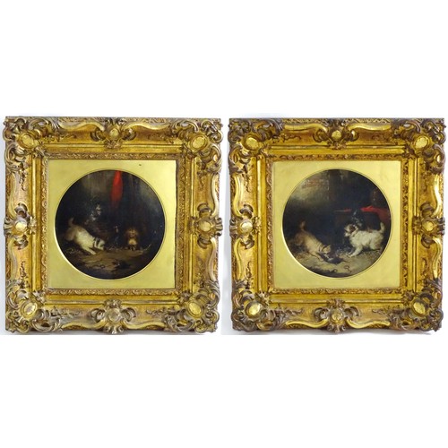 1646 - George Armfield (1808-1893), Oil on canvas, A pair, Terriers Ratting. One signed and dated 1880 lowe... 