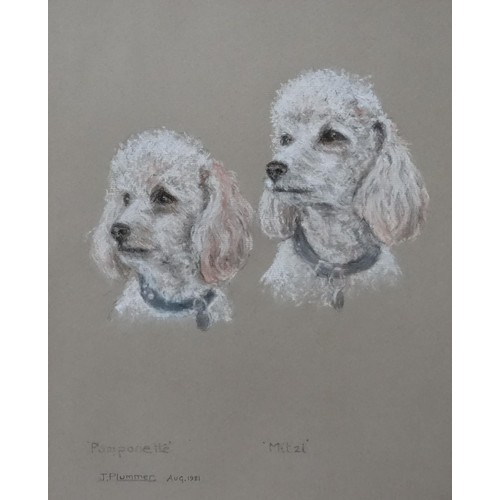 91 - A 20thC pastel drawing depicting two Poodle dog portraits, Pomponette and Mitzi, by J. Plummer. Sign... 