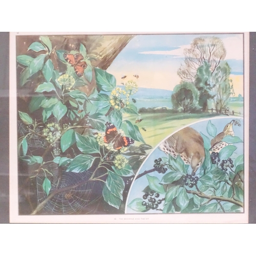 234 - Two colour prints after Eileen Soper comprising The Brownie and The Ivy, and The Family in the Corn-... 