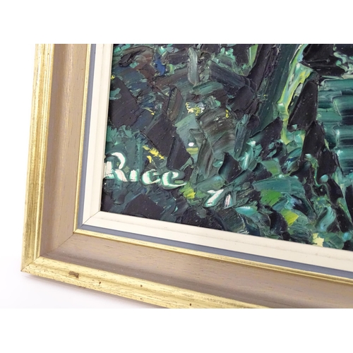 255 - Brian Rice, 20th century, Oil on board, A stone arch bridge over a wooded river. Signed and dated (1... 