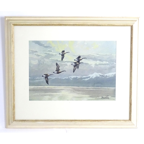 285 - Robert Taylor, 20th century, Watercolour, Canada geese in flight. Signed lower right. Approx. 14 1/2... 