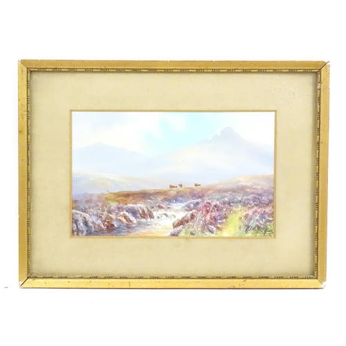 473 - H. W. Hicks, 20th century, Watercolour and gouache, A Devon landscape scene with a view of Haytor Ro... 