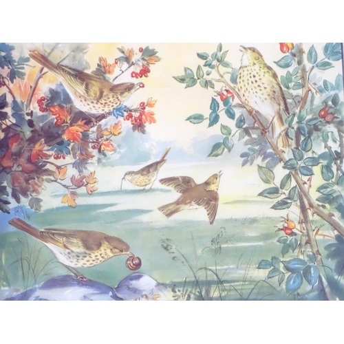 354 - A quantity of Enid Blyton Nature Plate prints after Eileen Soper to include Freckles the Thrush, Old... 