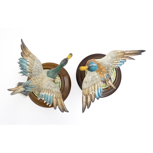 191 - Two Capodimonte limited edition models of ducks in flight. Marked under. Largest approx. 8 1/2