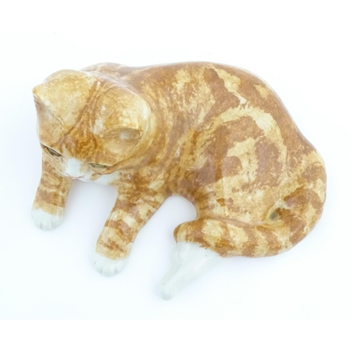 156 - A large Winstanley model of a recumbent ginger cat, size 7. Marked under. Approx. 13 1/2