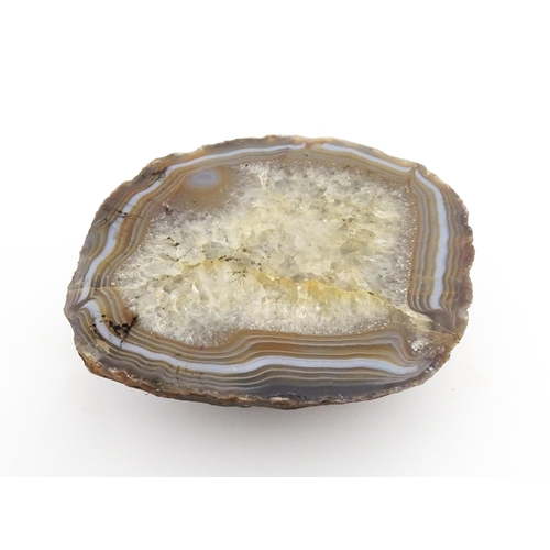 1079 - Natural History / Geology Interest: A polished agate and quartz hardstone specimen geode. Approx. 5 ... 