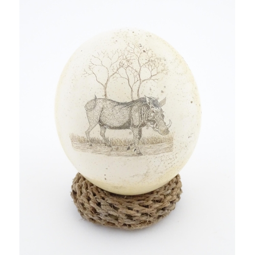 1141 - An ostrich egg with engraved decoration depicting a wild boar. Signed Fidelis Ngwenya lower right. A... 