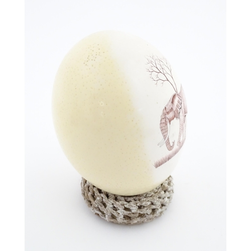 1143 - An ostrich egg with engraved decoration depicting an African elephant and calf. Signed Rodger Ndlovu... 