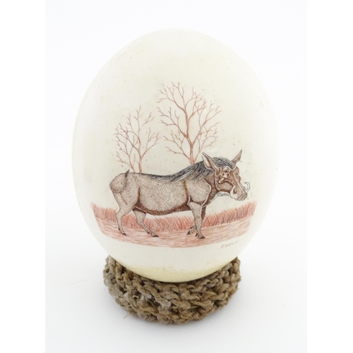 1144 - An ostrich egg with engraved decoration depicting a wild boar. Signed Fidelis lower right. Approx. 6... 