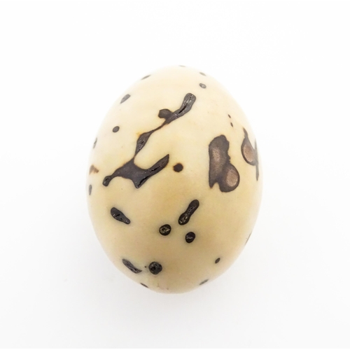 1201 - A Raffia Palm fruit. Together with a resin model of a speckled egg. Largest approx. 3 3/4