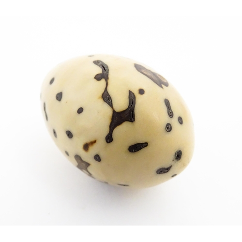 1201 - A Raffia Palm fruit. Together with a resin model of a speckled egg. Largest approx. 3 3/4