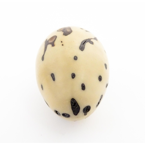 1201 - A Raffia Palm fruit. Together with a resin model of a speckled egg. Largest approx. 3 3/4