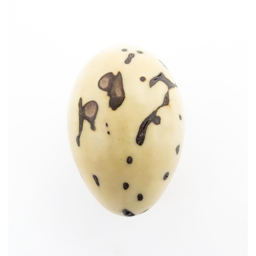 1201 - A Raffia Palm fruit. Together with a resin model of a speckled egg. Largest approx. 3 3/4