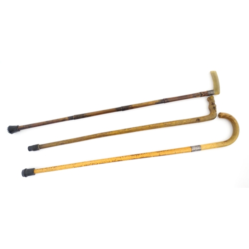 1244 - Three assorted Victorian and later walking sticks / canes, one with a horn handle and silver collar ... 