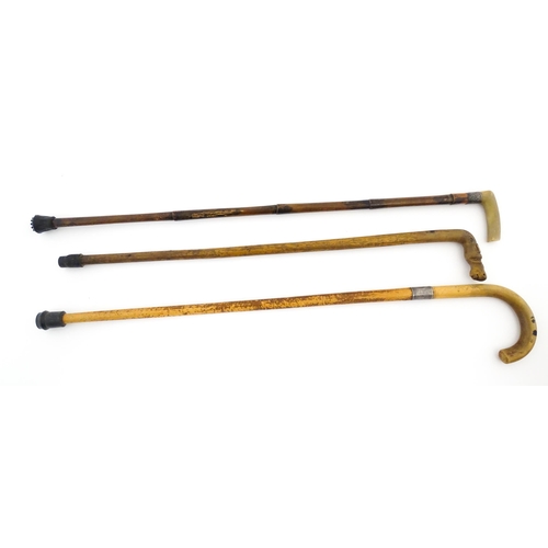 1244 - Three assorted Victorian and later walking sticks / canes, one with a horn handle and silver collar ... 