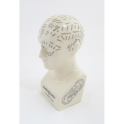 1267 - A 20thC ceramic Phrenology bust after L. N. Fowler, with anatomical / cranium labelling. Approx. 11